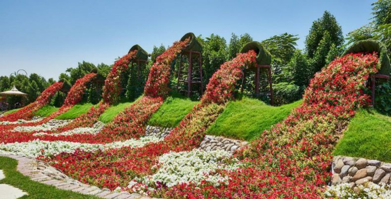 风景展示